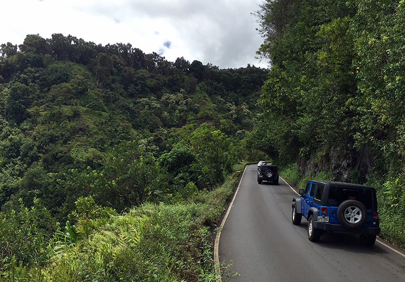 The Road to Hana