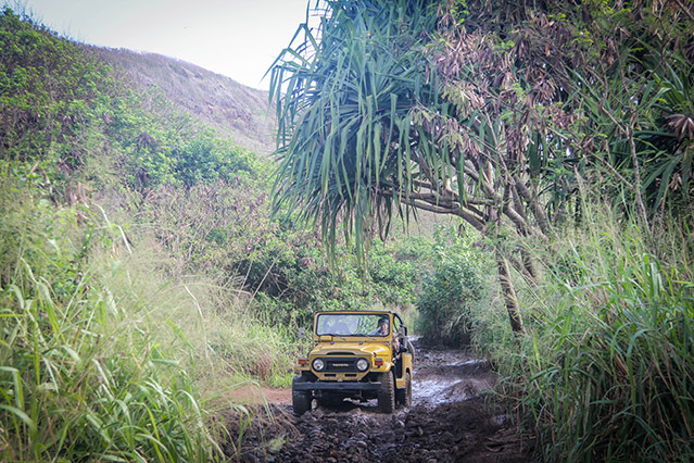 4-wheeler off-road