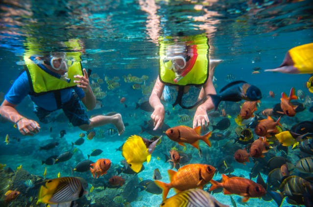 Rainbow Reef Aulani A Disney Resort  Spa