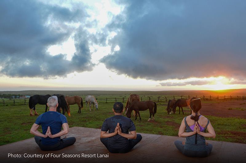zen-horse-sunset-yoga